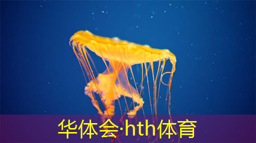 HTH华体会登录入口：十个g以内的3d游戏有哪些