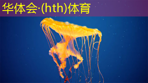 华体会·(hth)体育：3d健身教练游戏攻略大全