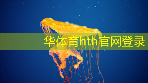 台式玩3d游戏电脑全套 台式玩3d游戏电脑全套